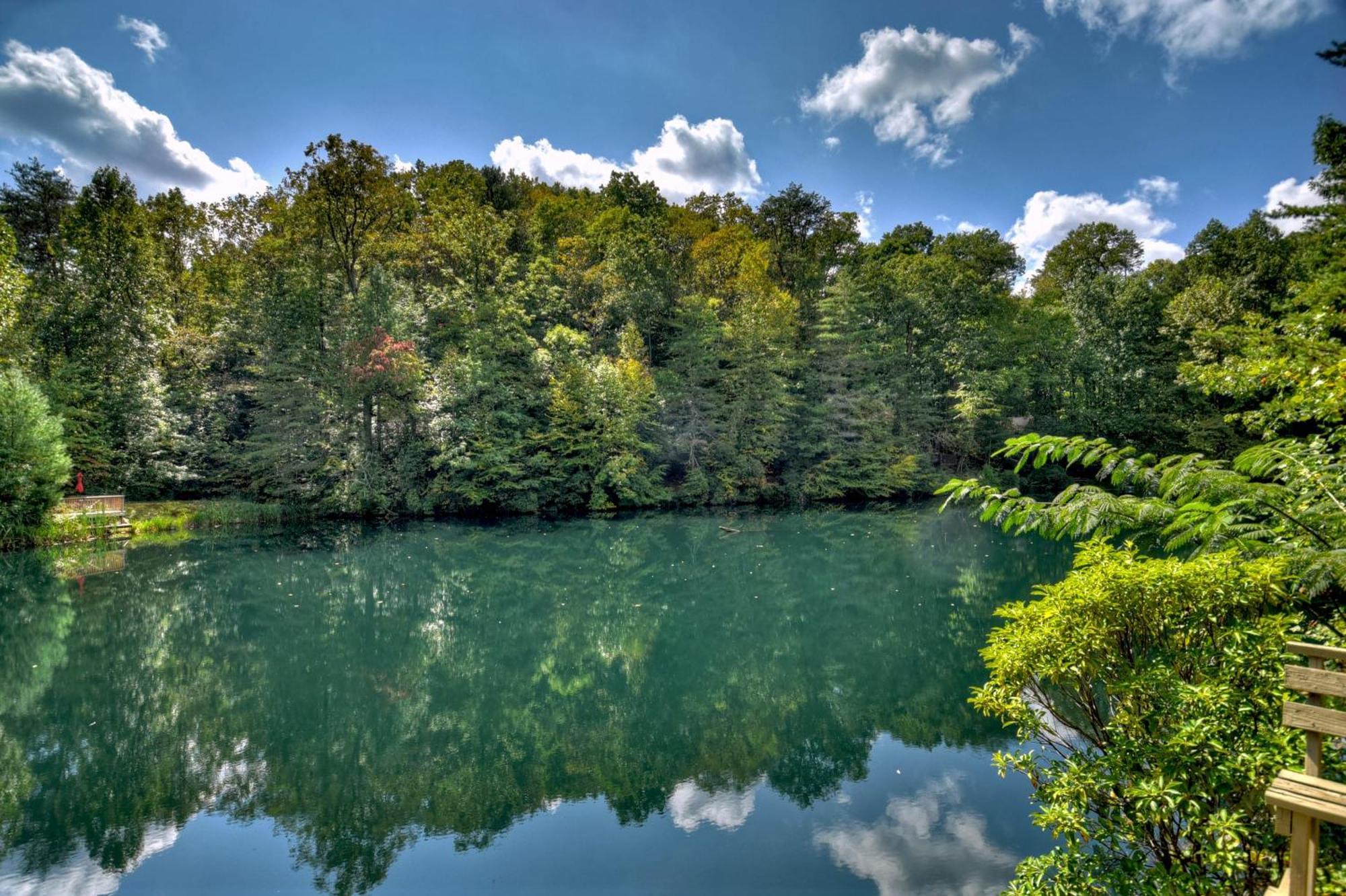 Waywish Waterfront Cabin In Blue Ridge Mountains ภายนอก รูปภาพ